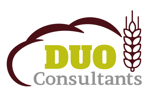 Duo Consultants